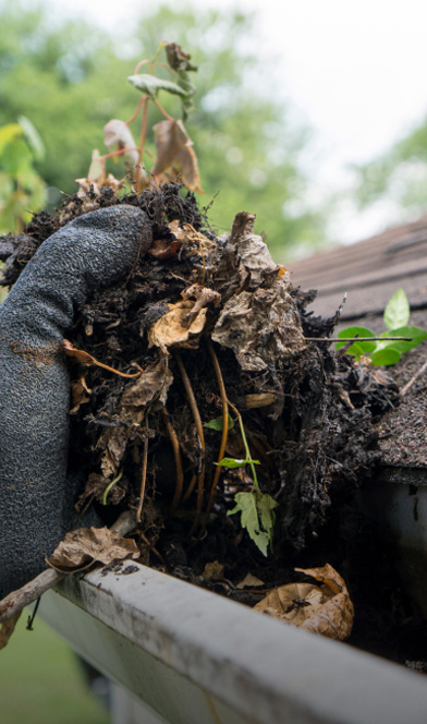 gutter-cleaning